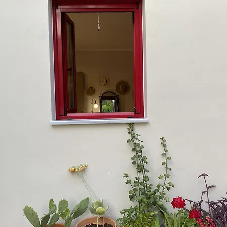 Cozy 2-bdrm-house With Garden Katouna